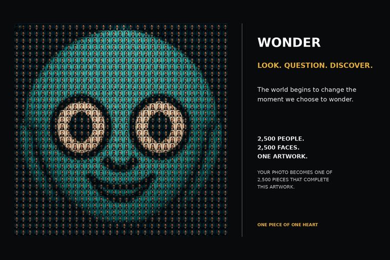 04 WONDER